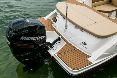 SeaRay Boats