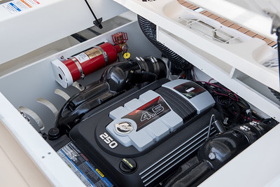 SeaRay Boats